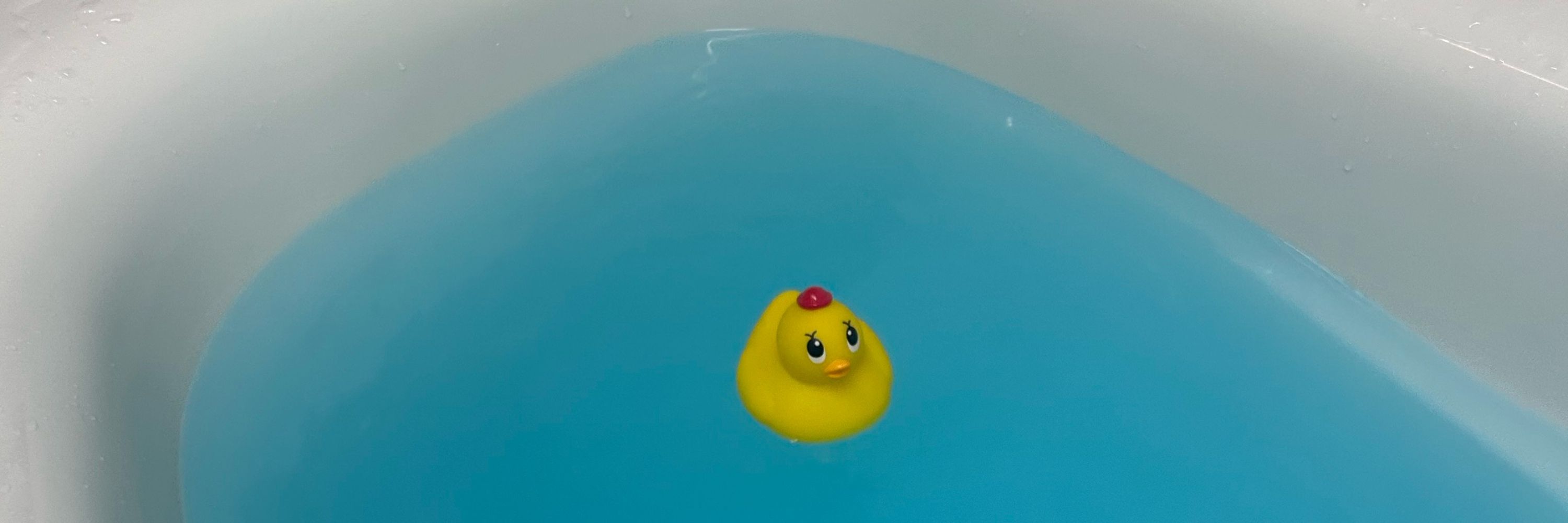 おもち