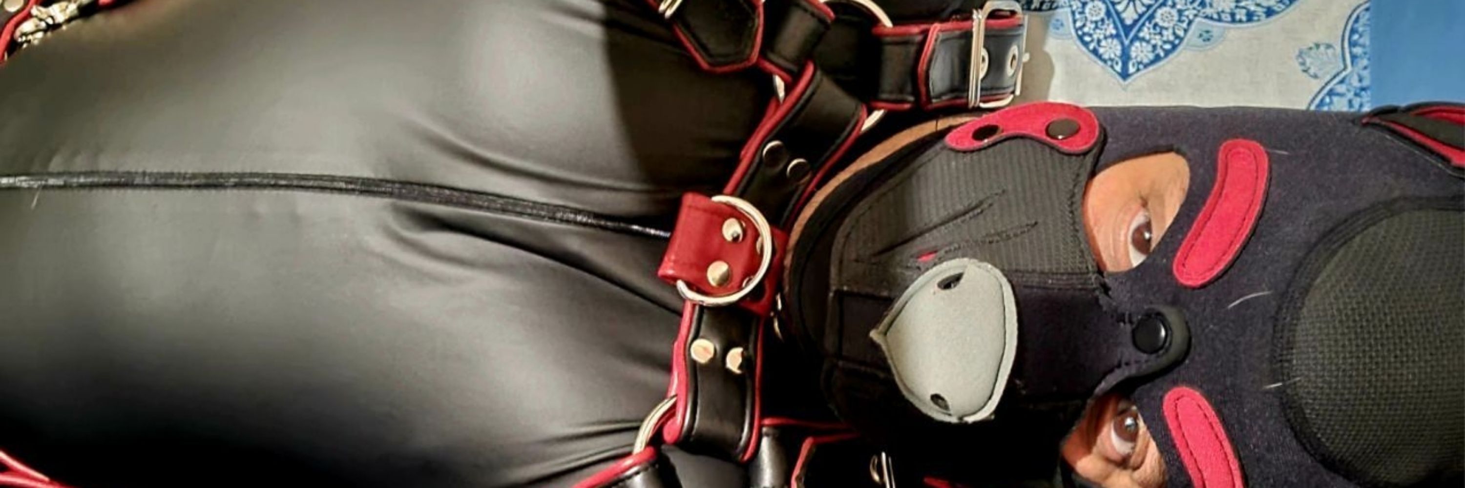 FauxPaw (not 🔐)-->FWA, MP, KinkDownSouth, ATLPrideWeekend