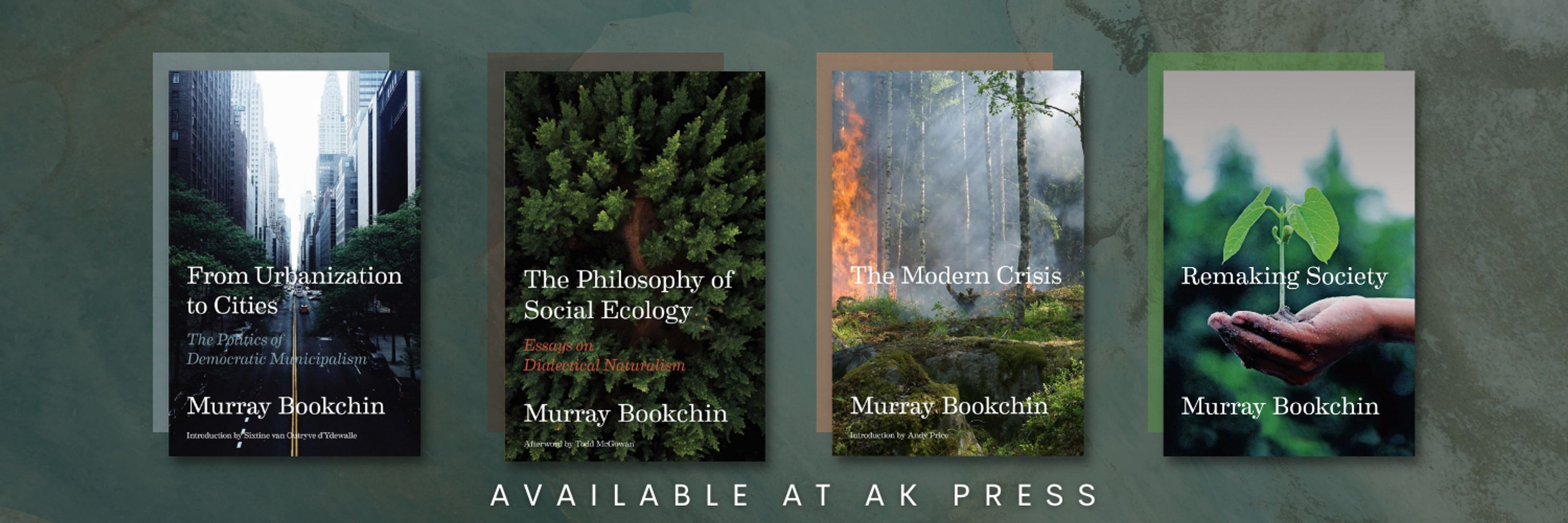 Debbie Bookchin