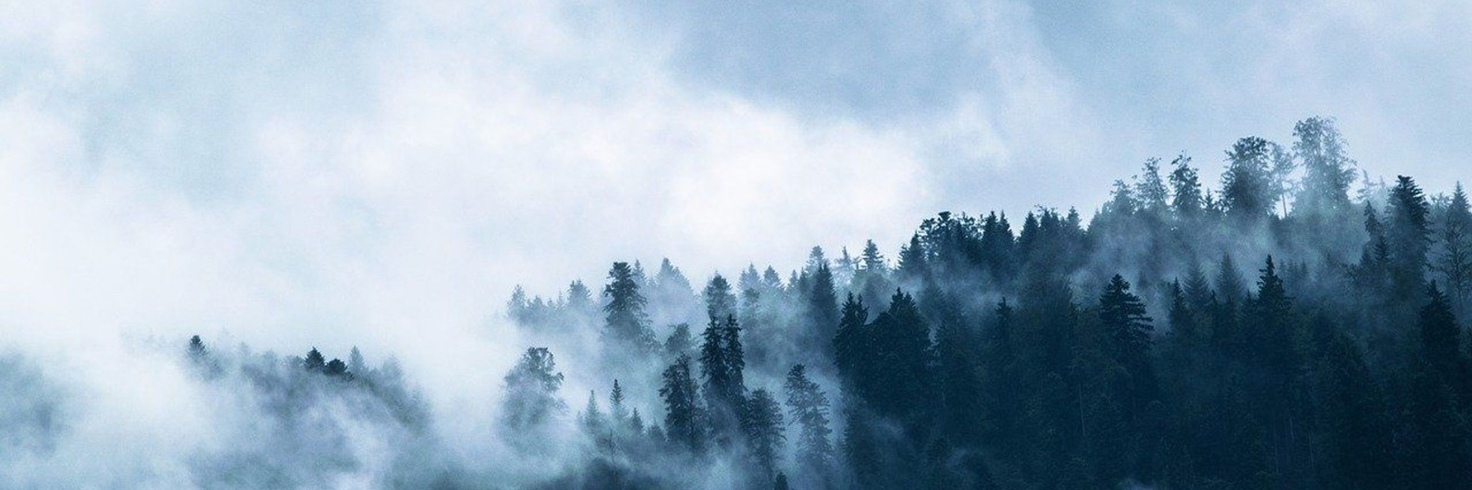 ModElling the Regional and Global Earth system - MERGE