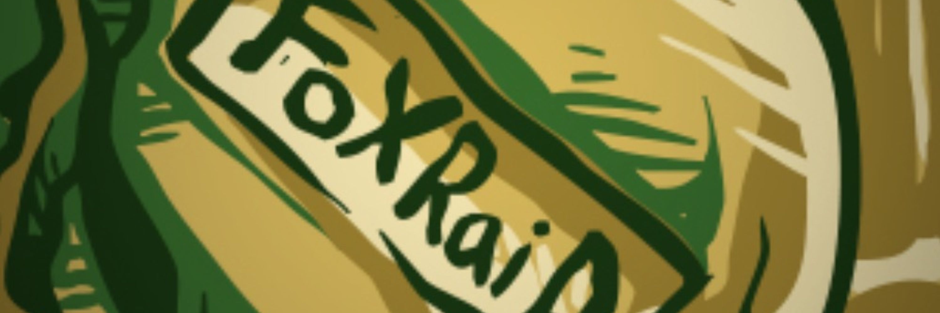 FoXRaiD Gaming