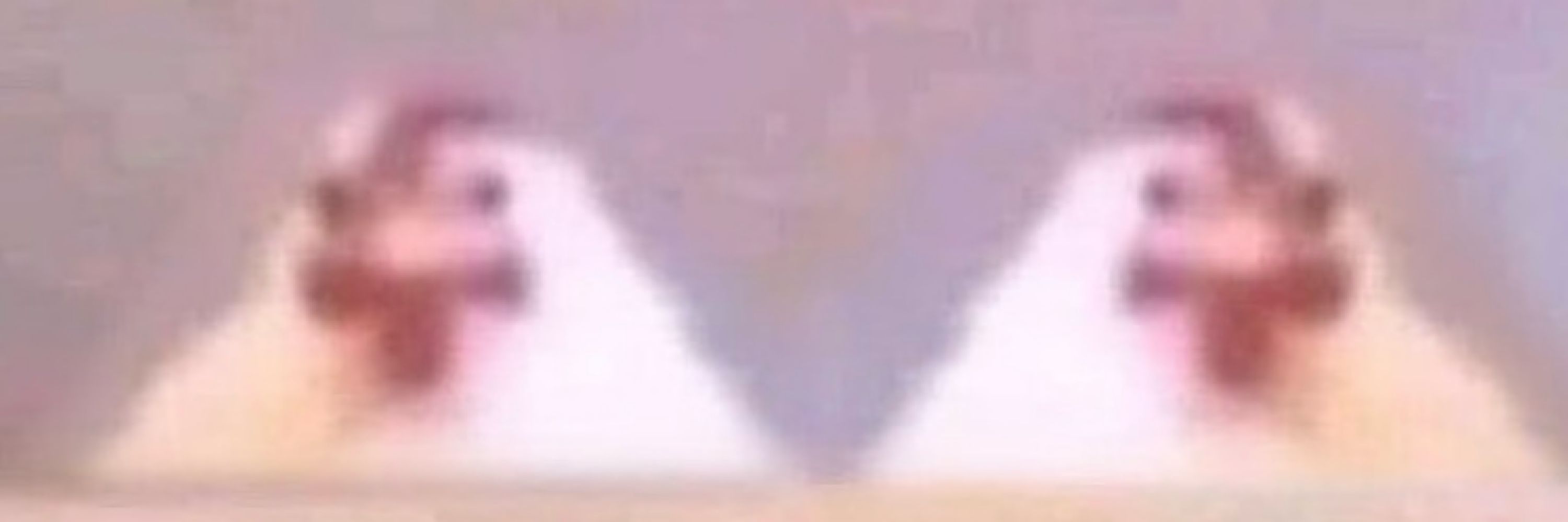 VOIDunknown