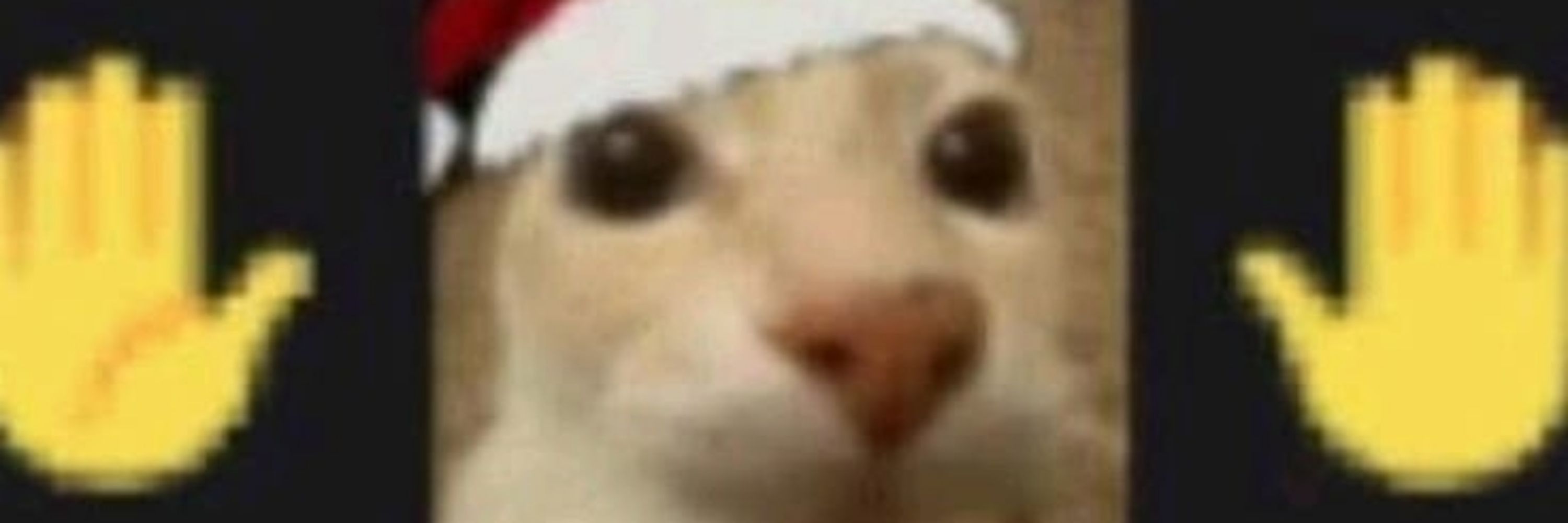 bruh