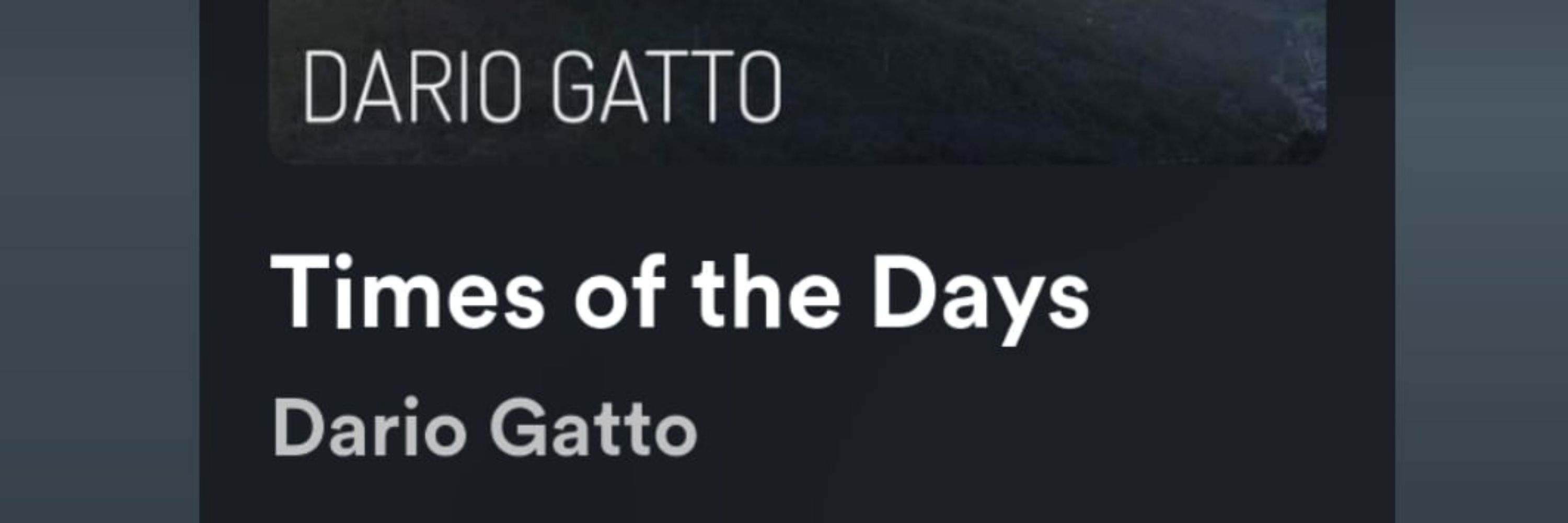 Dario Gatto Pianist
