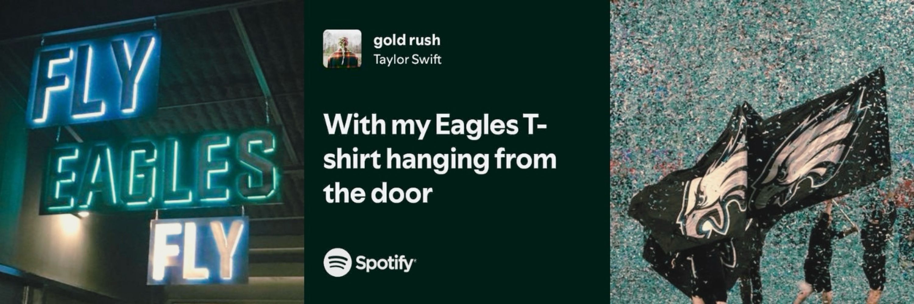 s (go birds version)