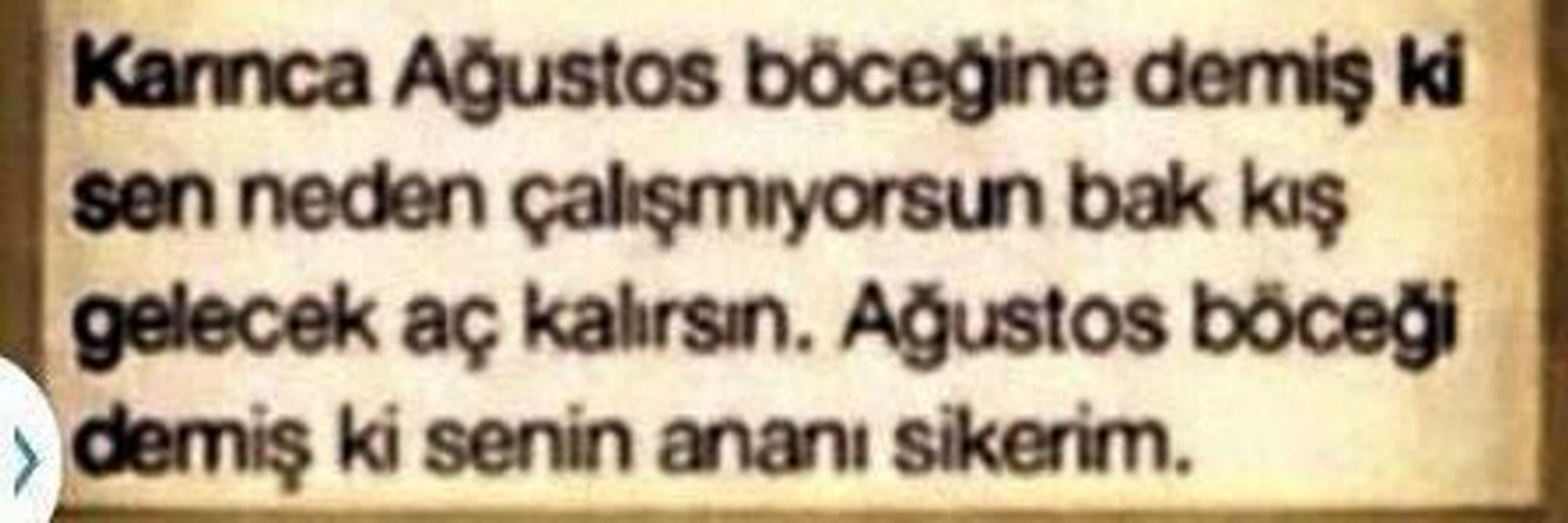 Volkan Apaydın