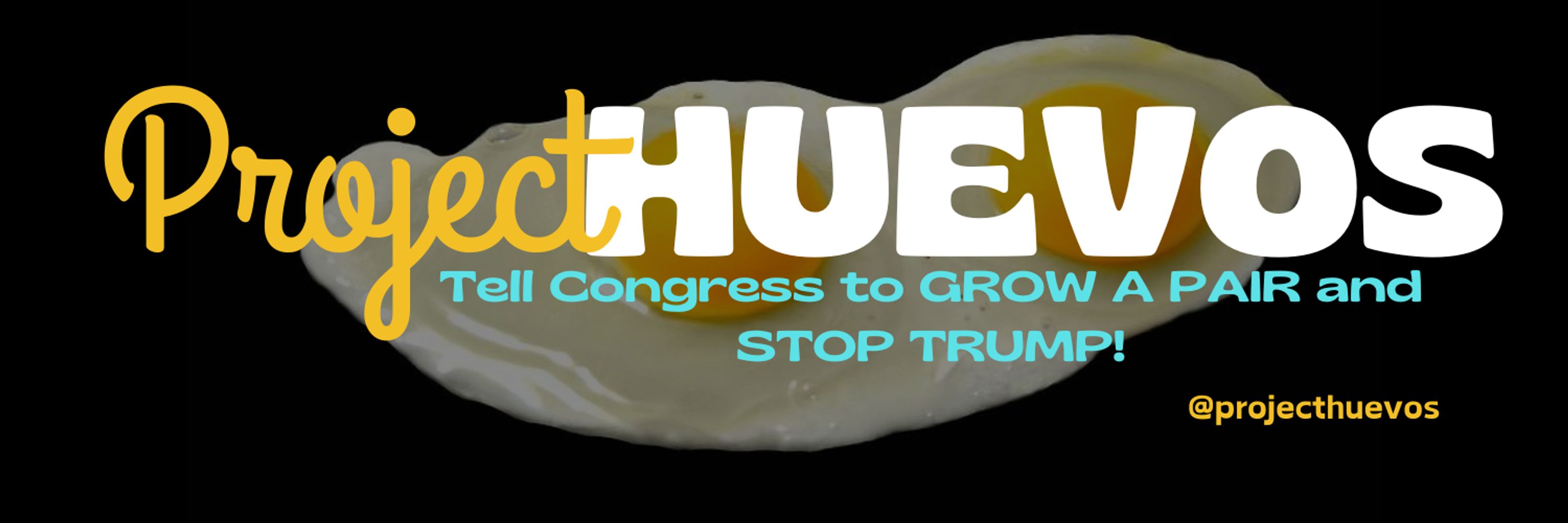 Project Huevos