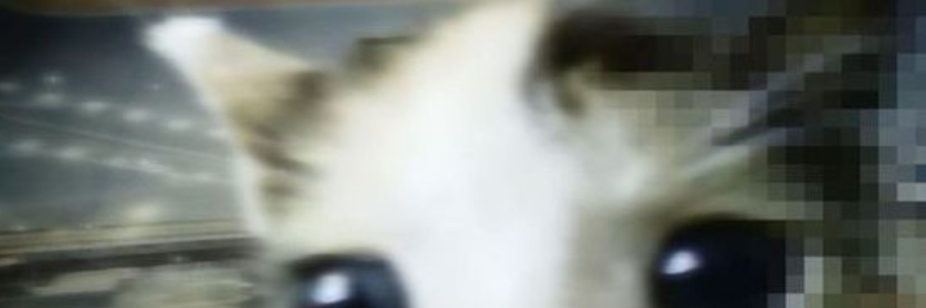 iz :3