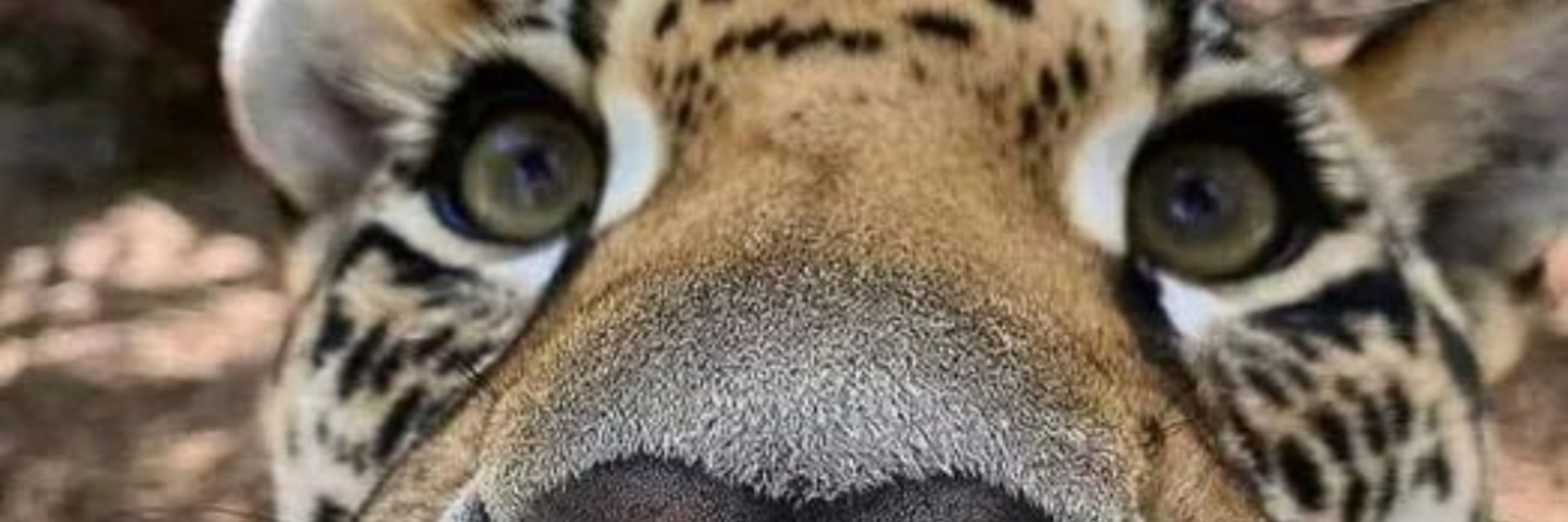 Karen 