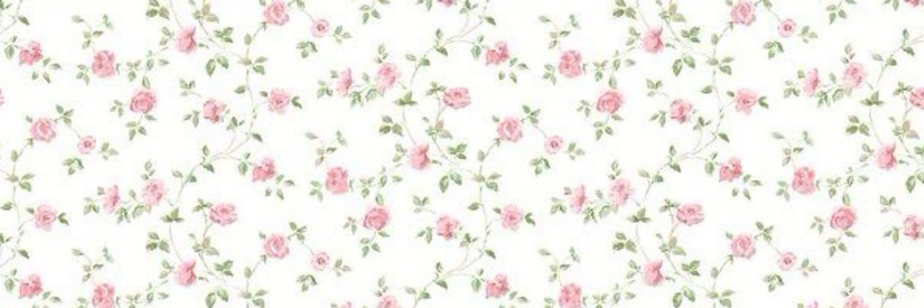 ✿◌ 아옴신 aomsin 🧏🏻‍♀️ ⋆.˚