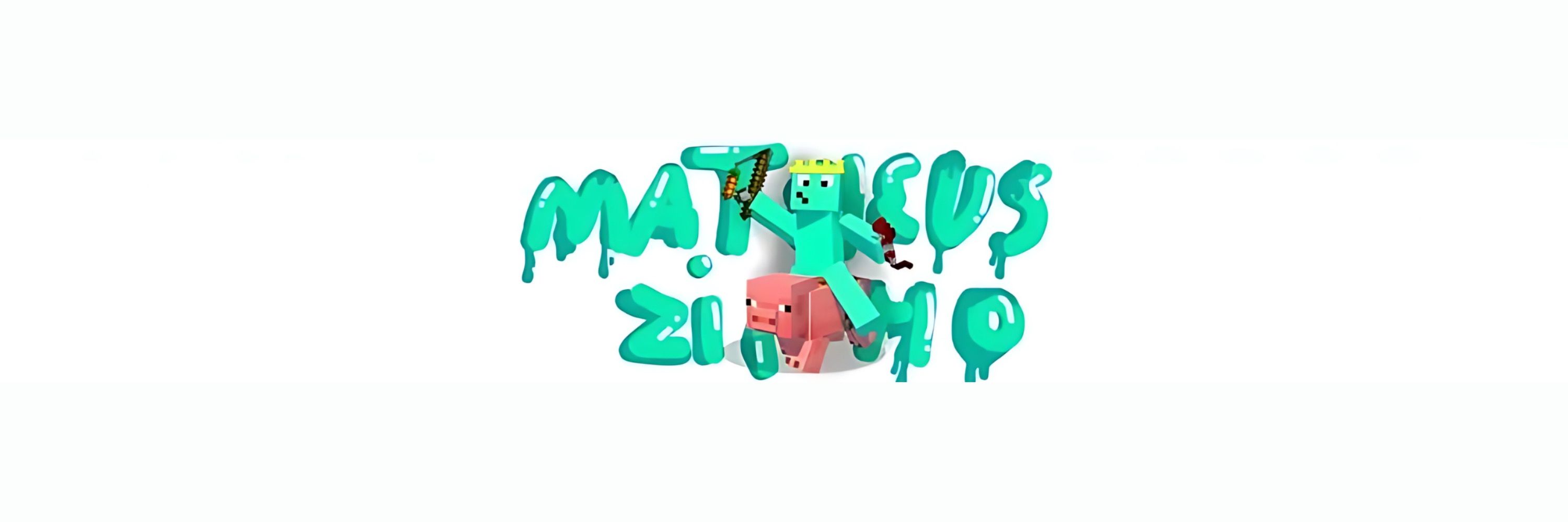 Matheuszinho (Follows Back)
