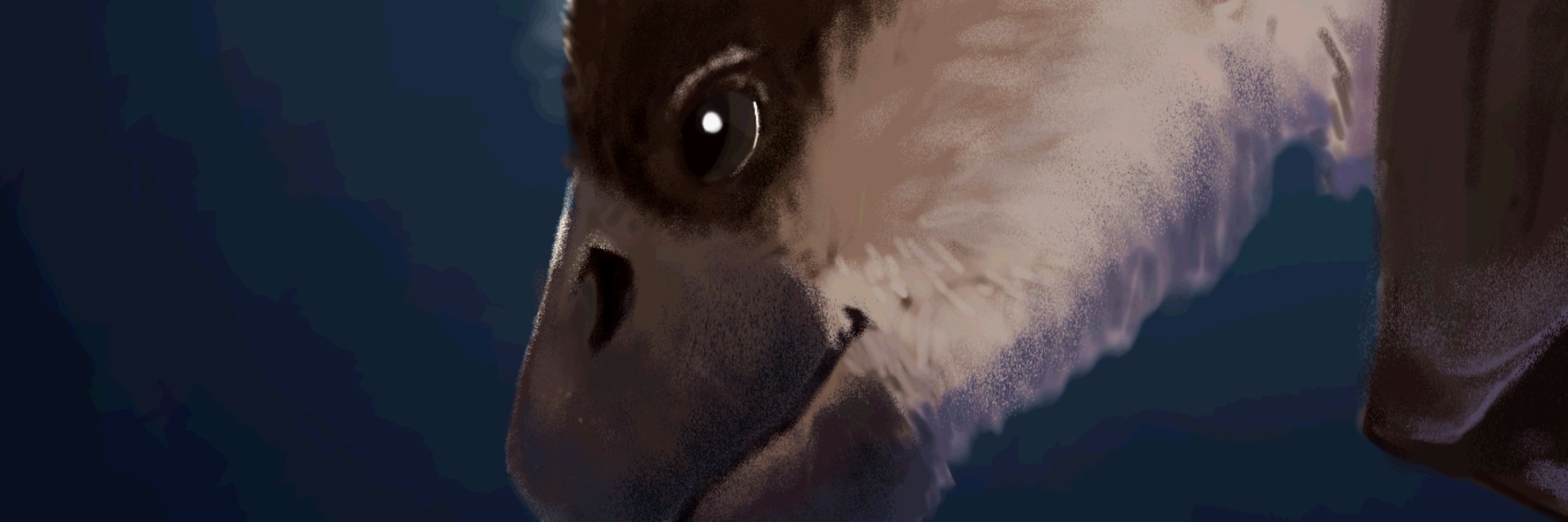 Owen 🦇