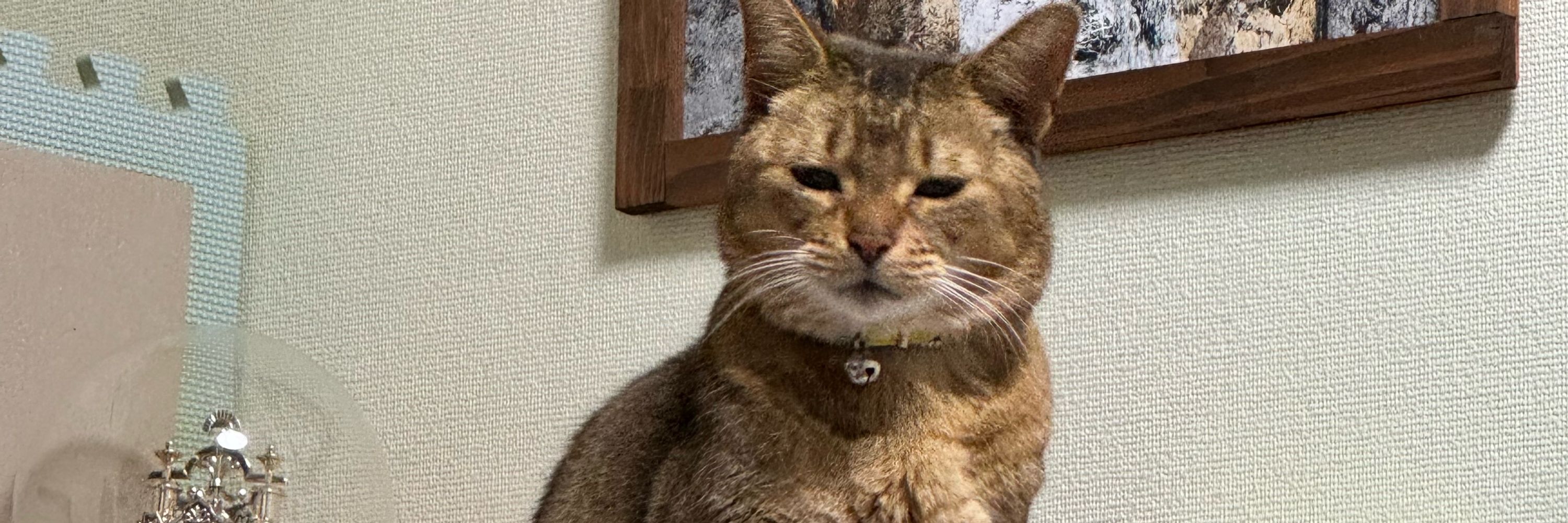 プニキつん