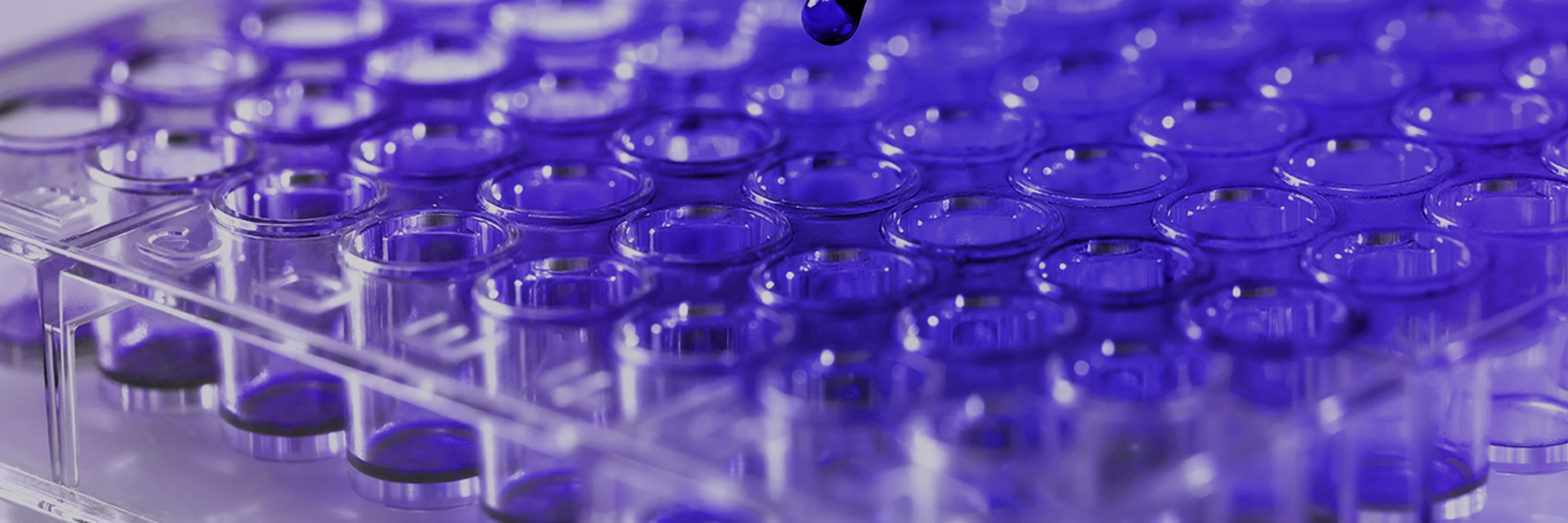 Arbor Assays