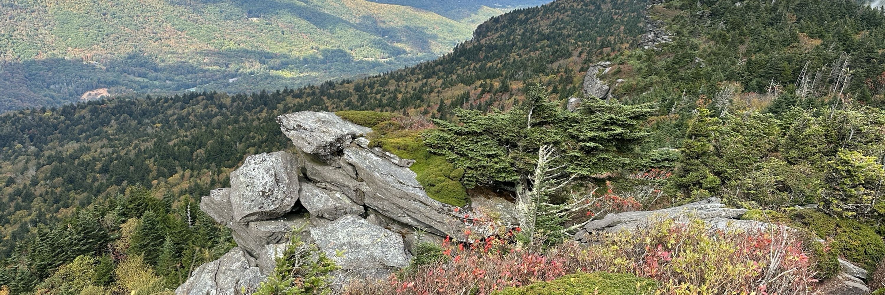 Asheville Conservation Partners