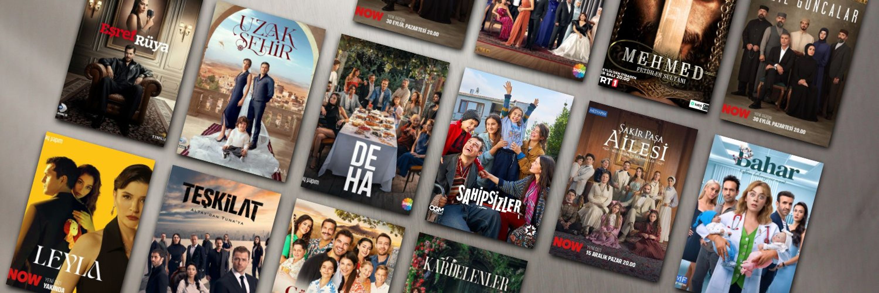 Dizi Dünyası