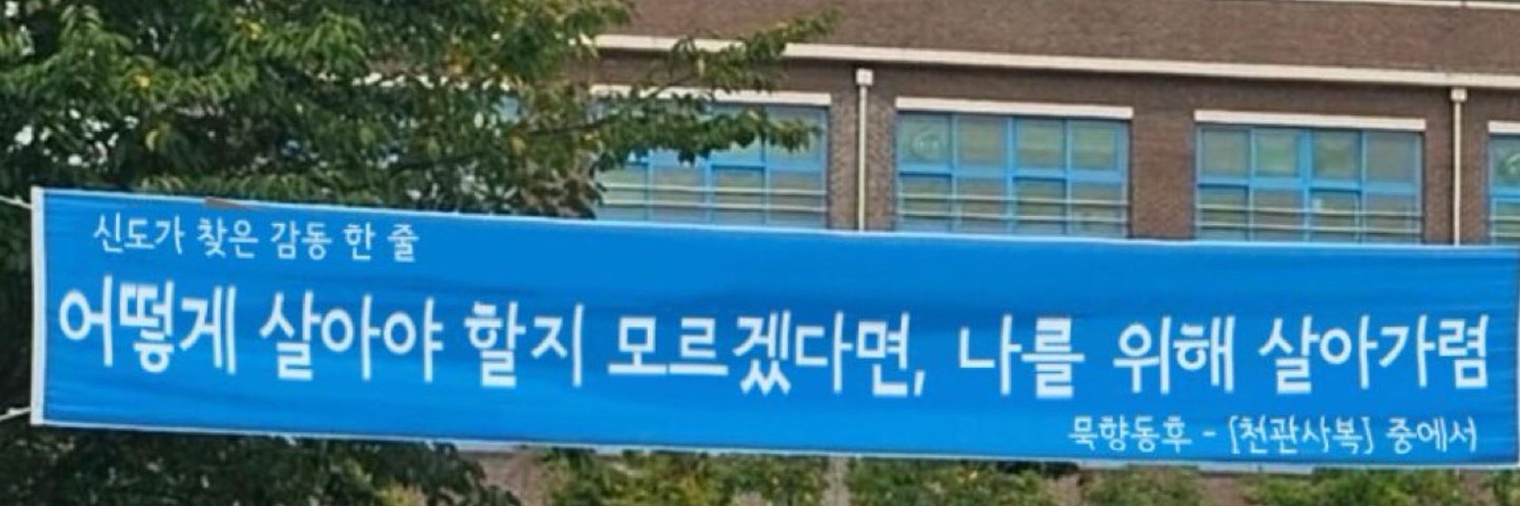 핑키37
