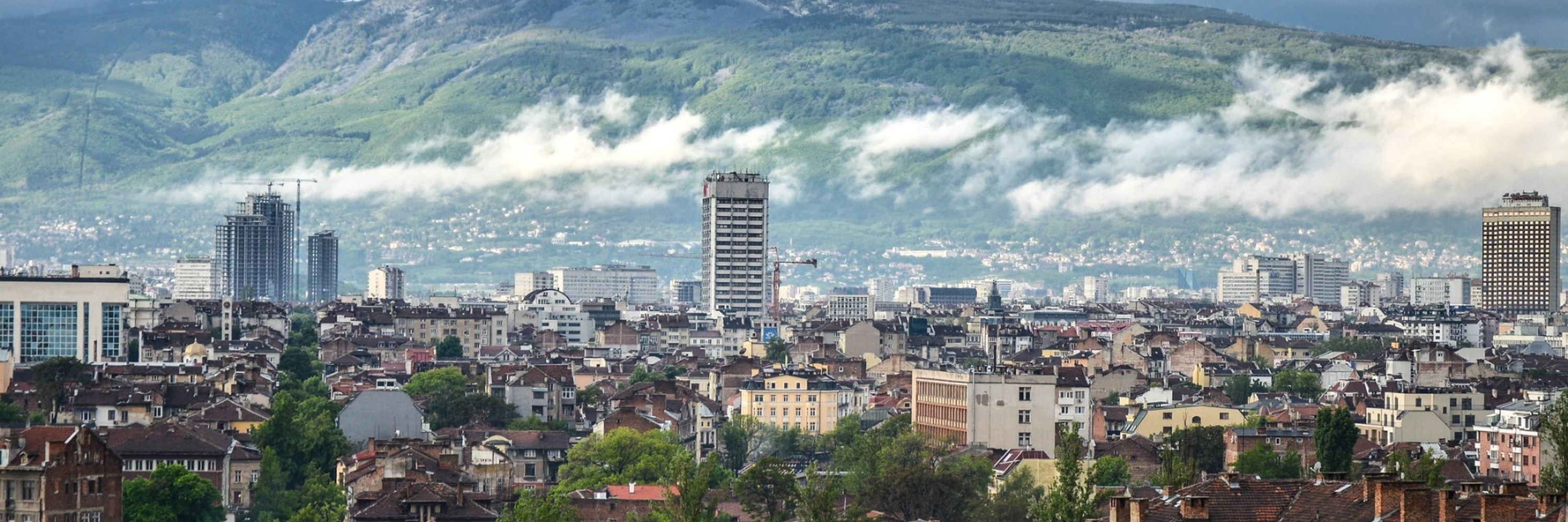 ECFR Sofia