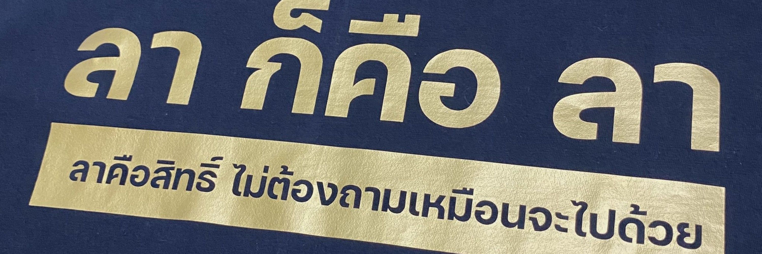 นบ.ไม่ว่างแมวพาไปเดินเล่น