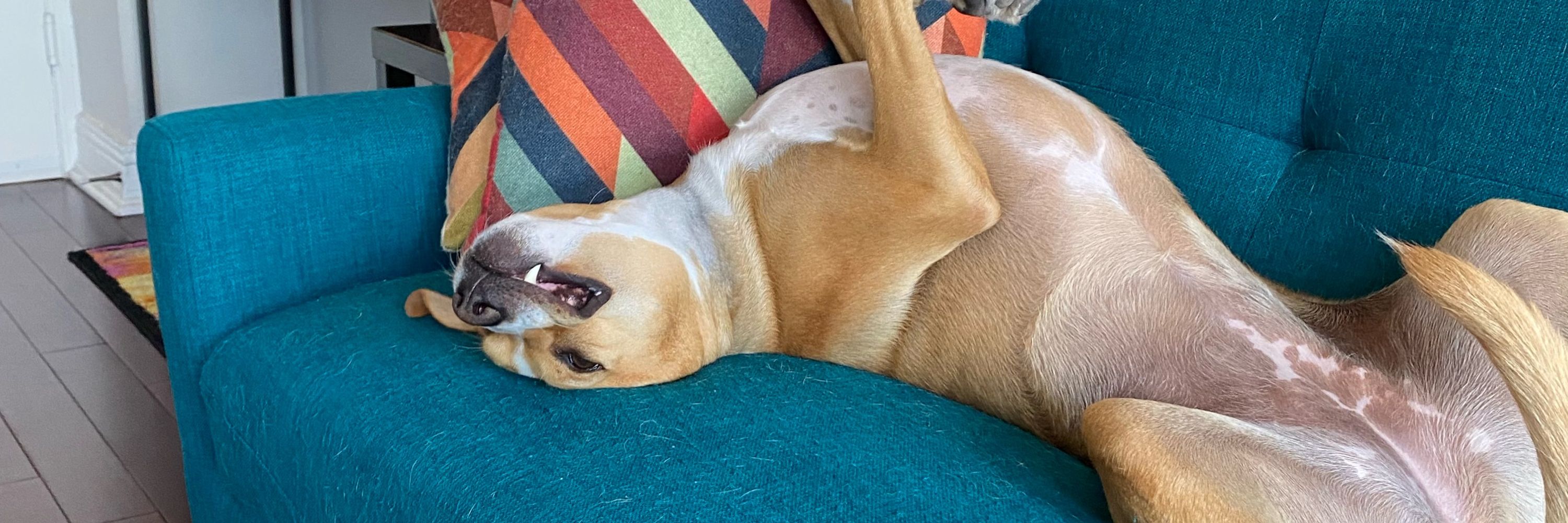 Ben
