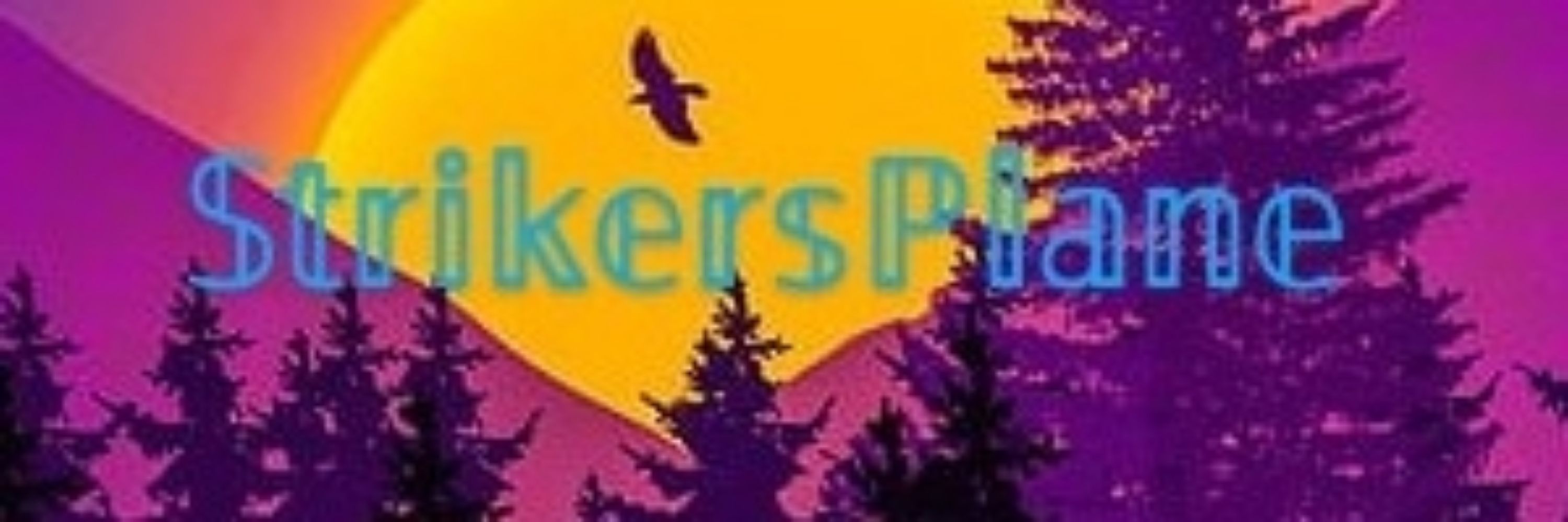 StrikerGames