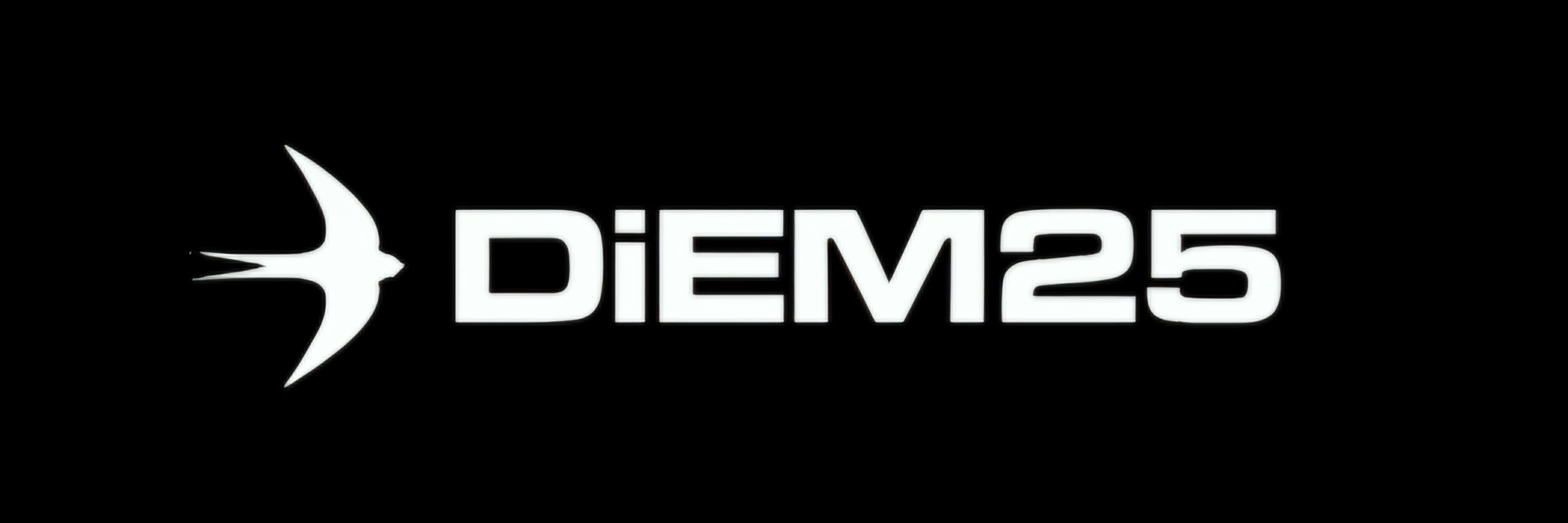 DiEM25 v Česku