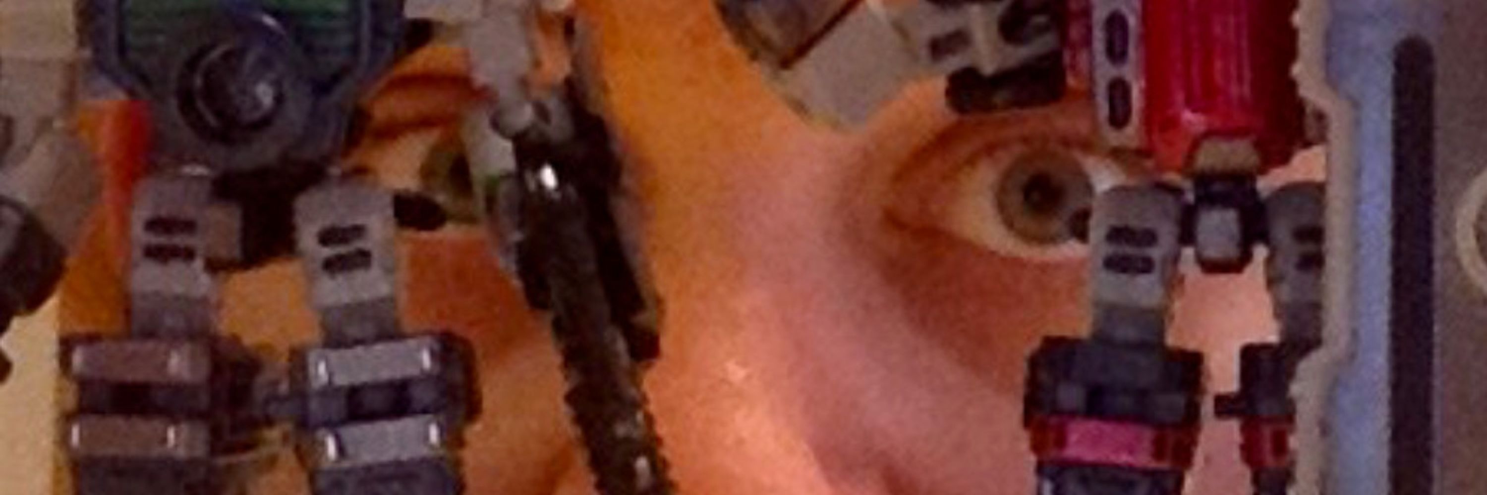 Rob "Wear A Mask" Rich