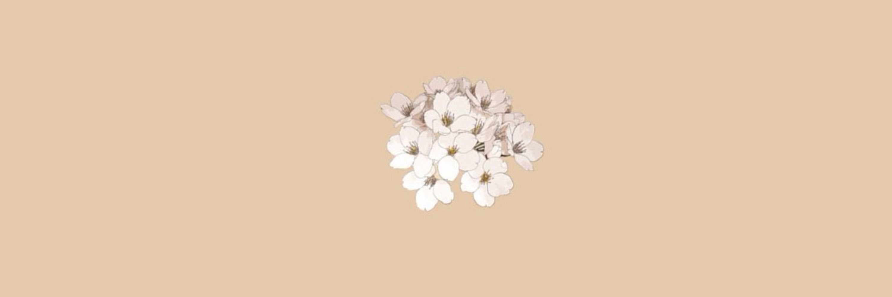 𝚖𝚊𝚢 🌷