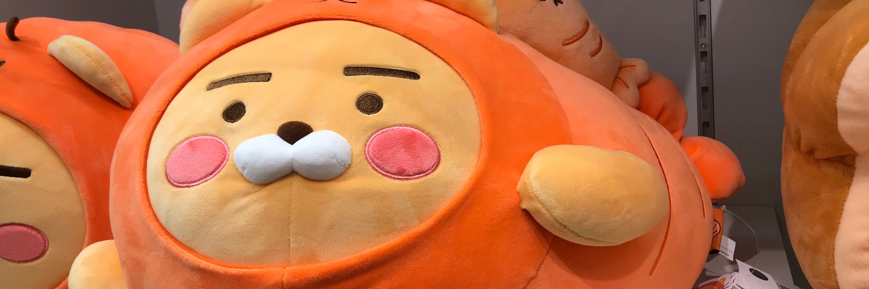 죠죠뽕이 들어찬 레밤