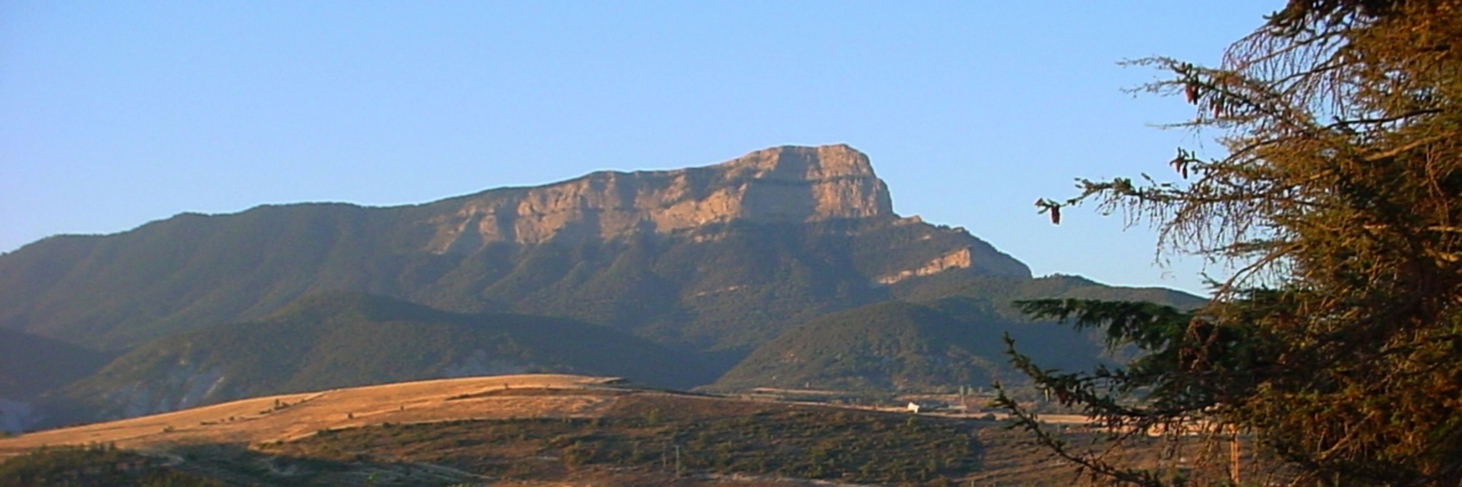 Leticia Bernués-Caudillo