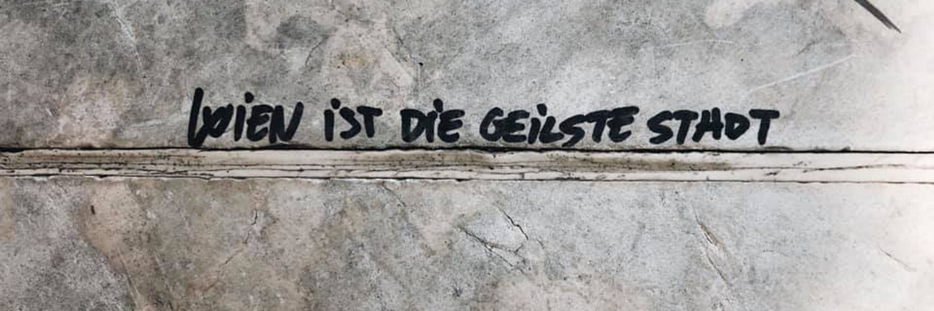 Jasmin Fichtinger-Ilk