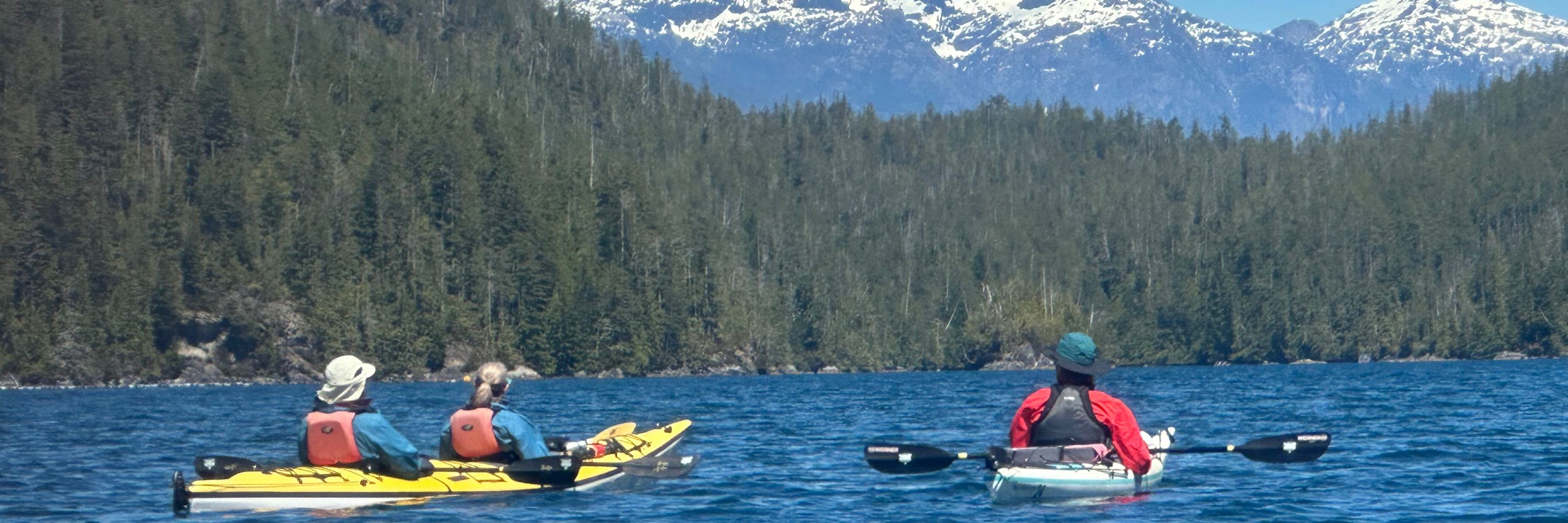 Tofino Sea Kayaking