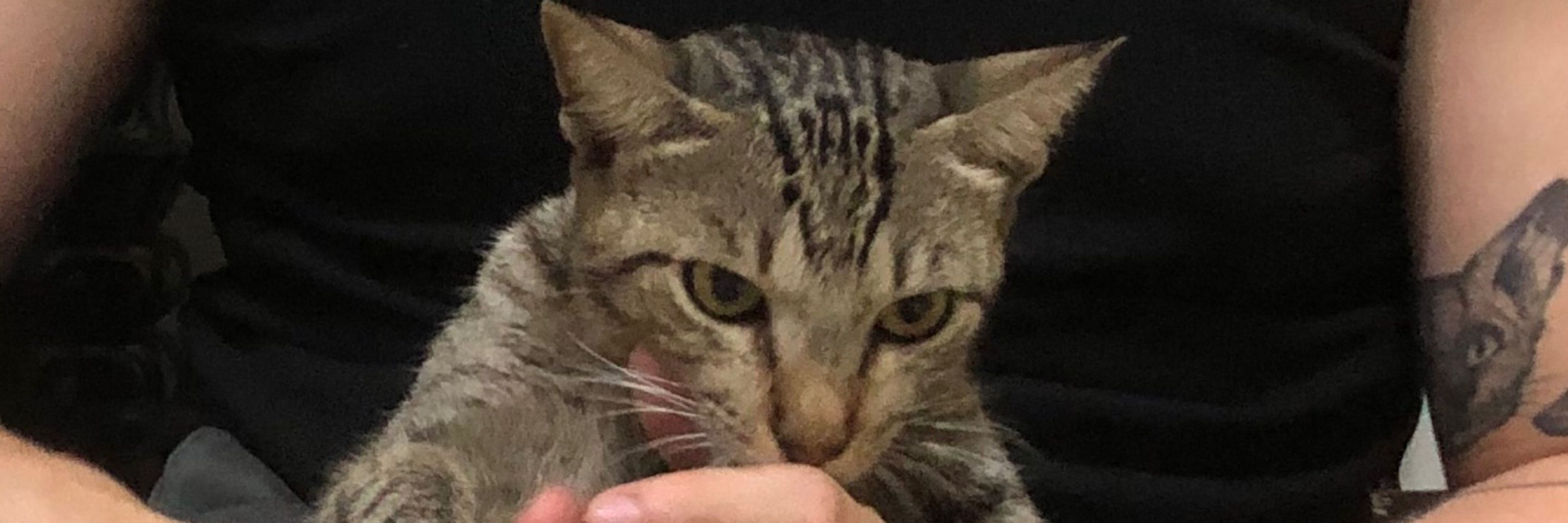 Francisco