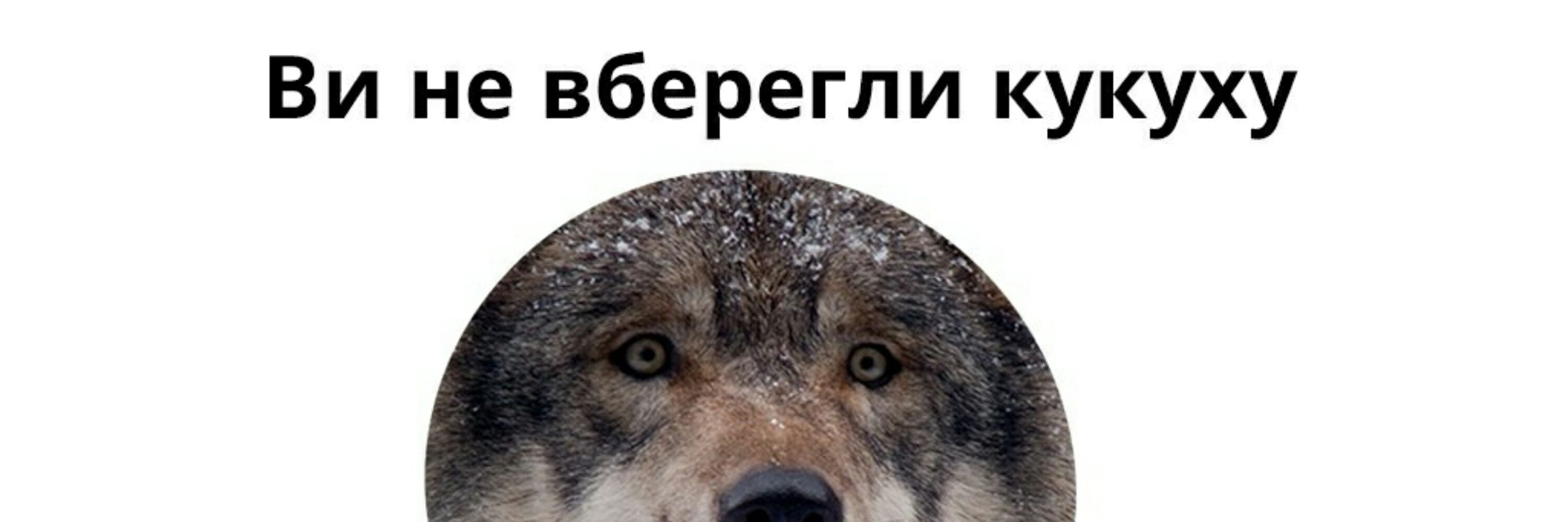 Очманілий Морт 