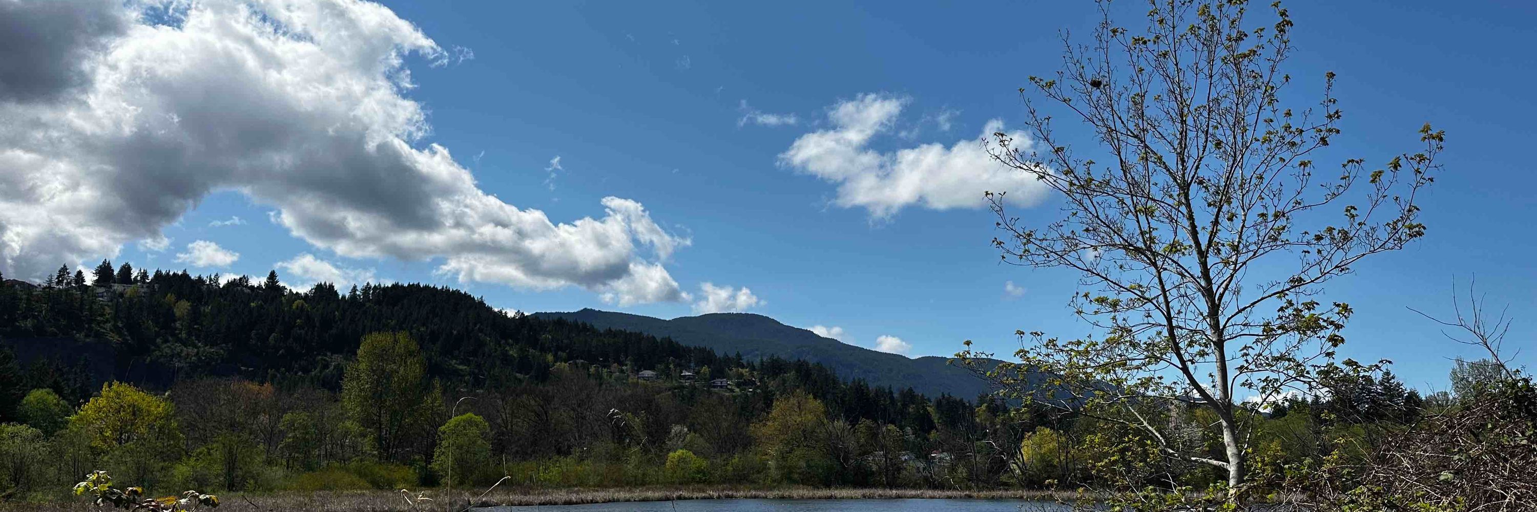Nanaimo Hiker 🇨🇦