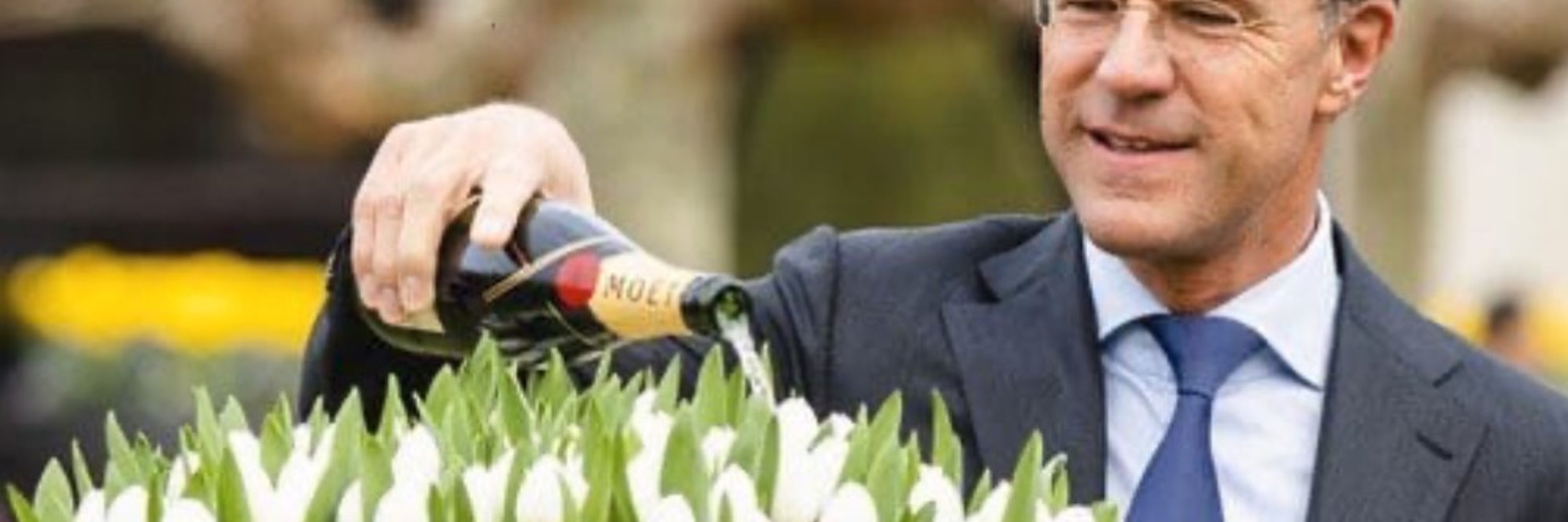 Jordi Schröder Bosch