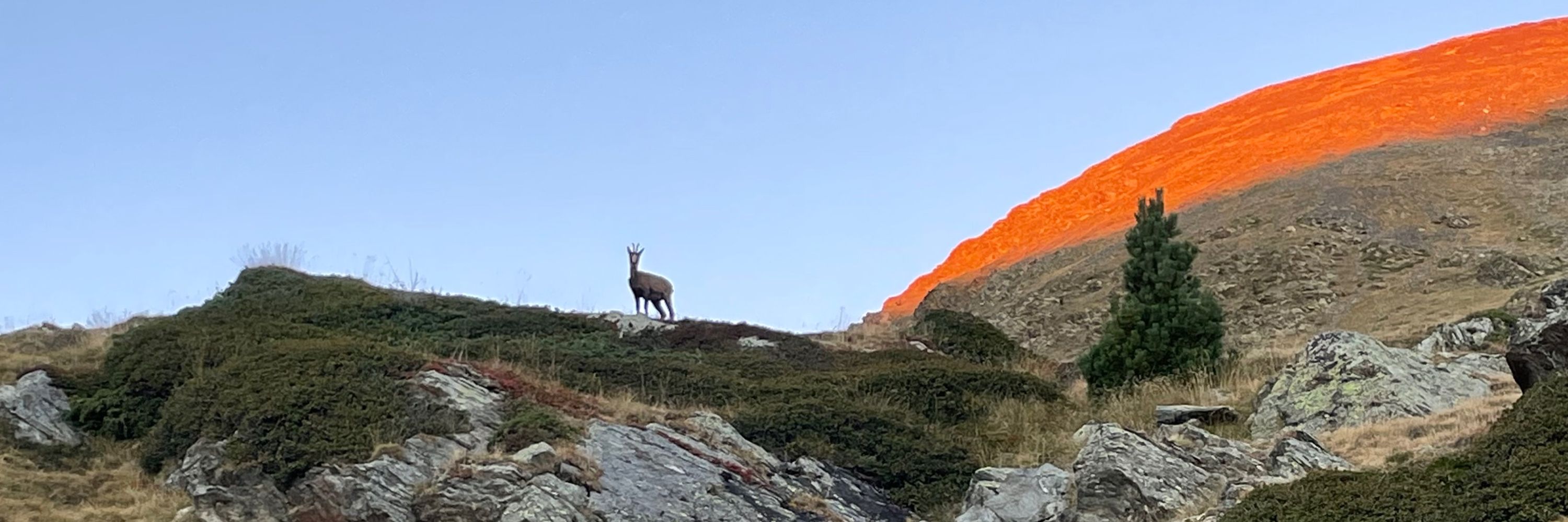 Xavi Olivé 🏔️