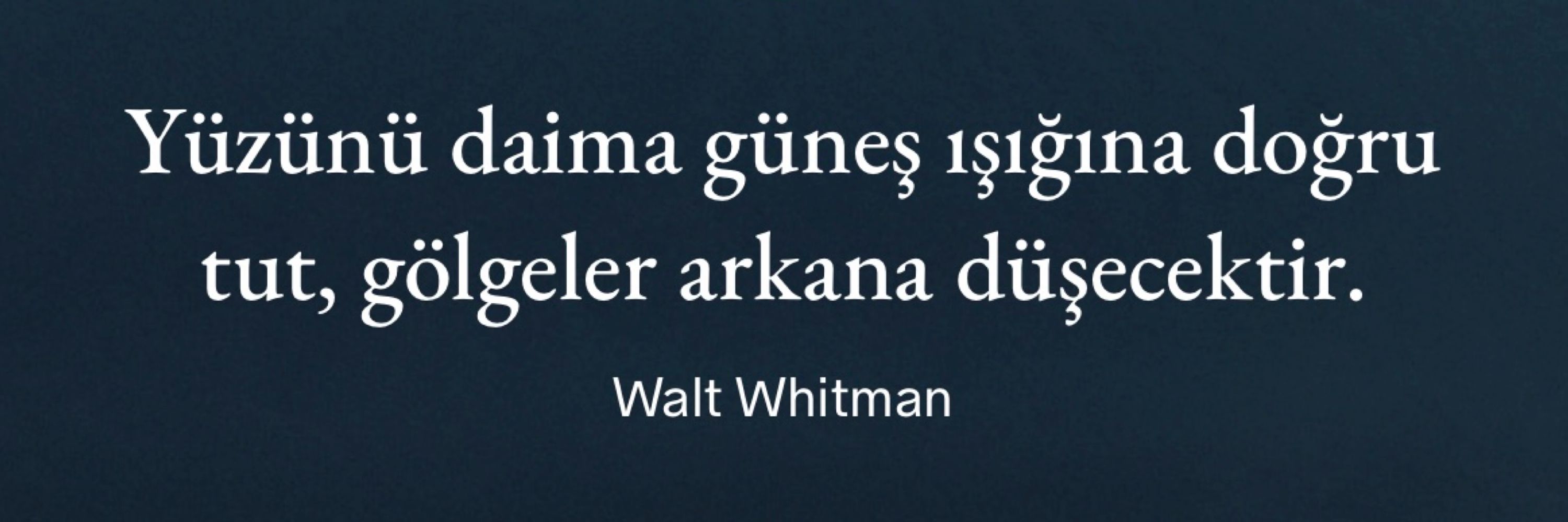 ~Ceren~