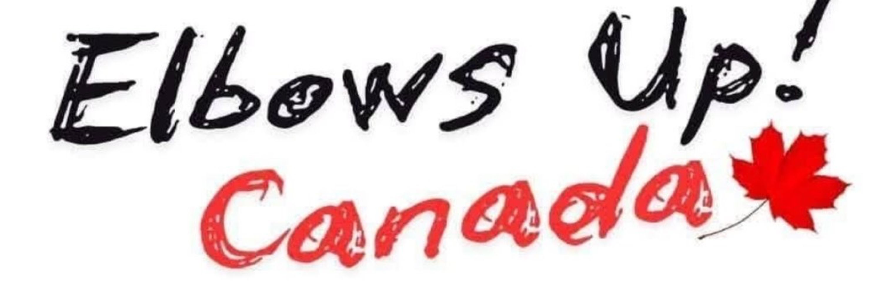 AntiElonTeslaOwner