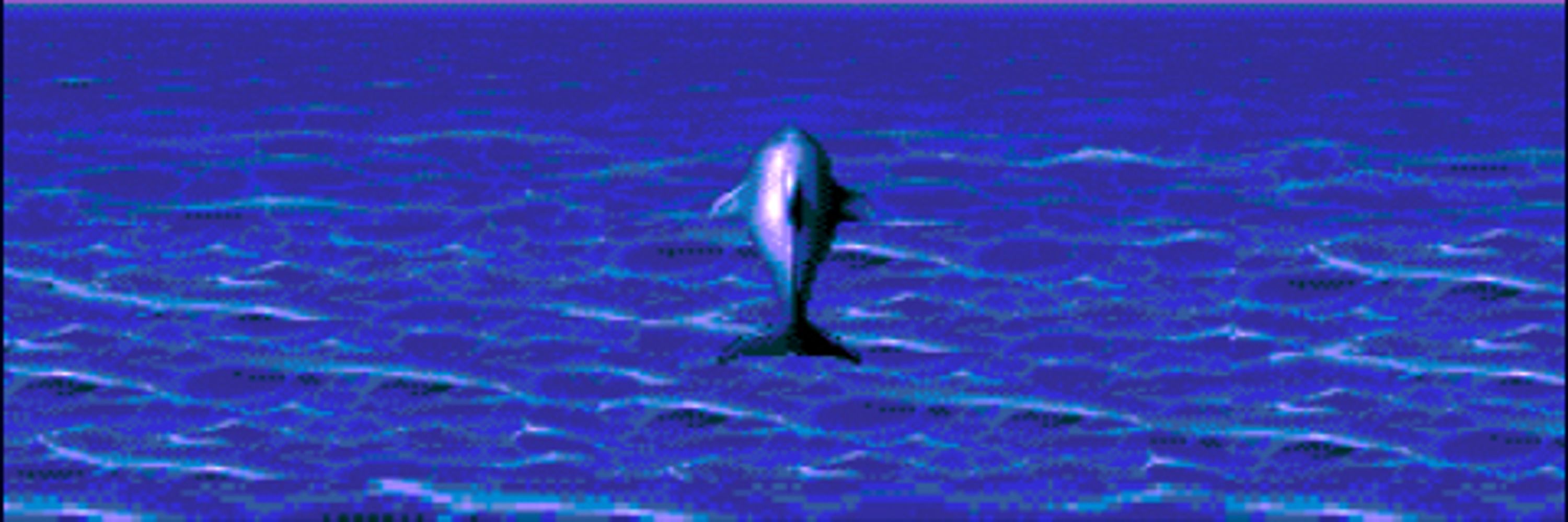 Ecco Dolphin
