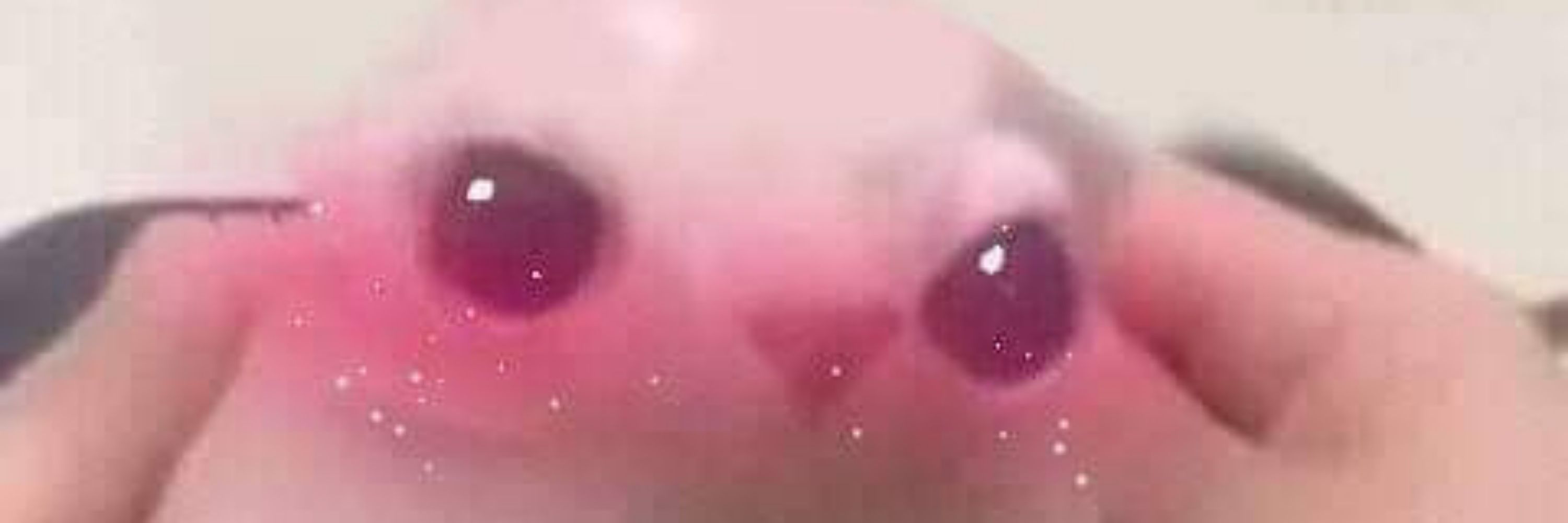 ซินคุณแม่ลูก123456