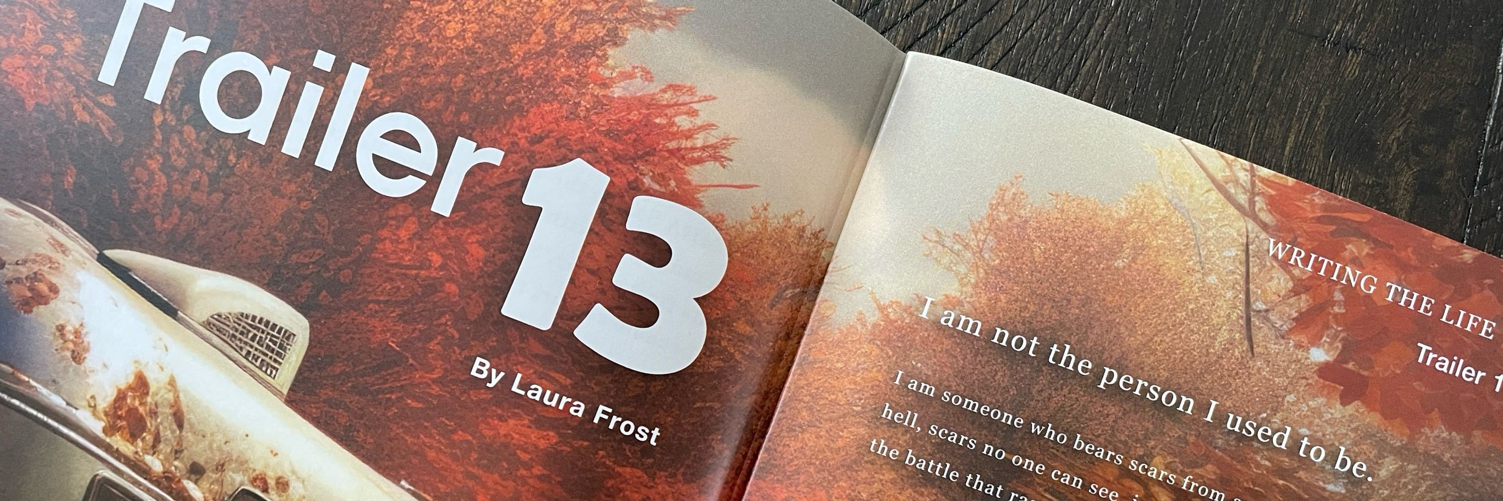 Laura Frost - Contemporary Fiction Author