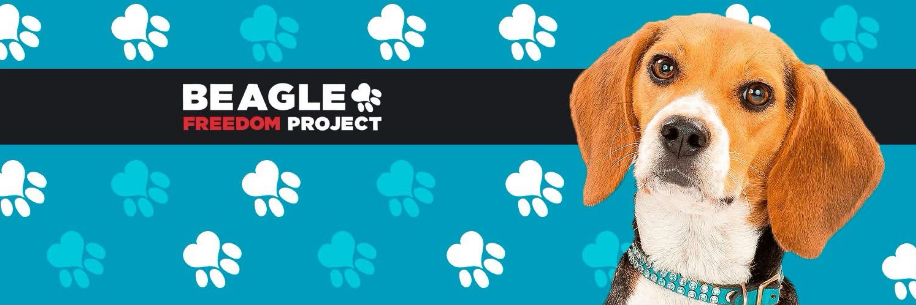 Beagle Freedom Project