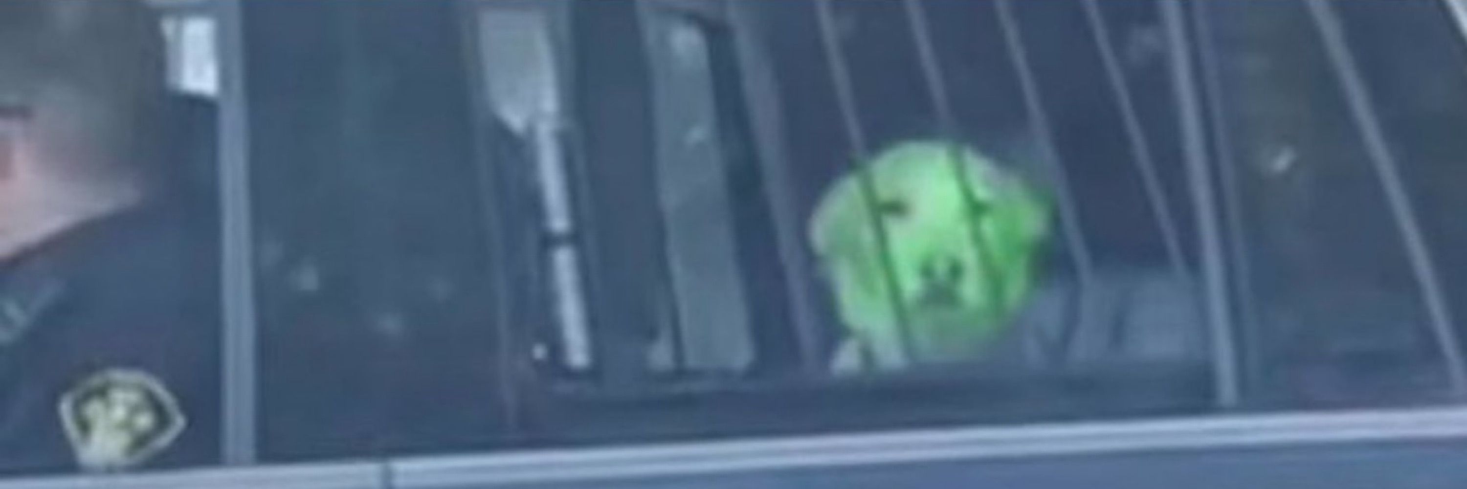 j'onn