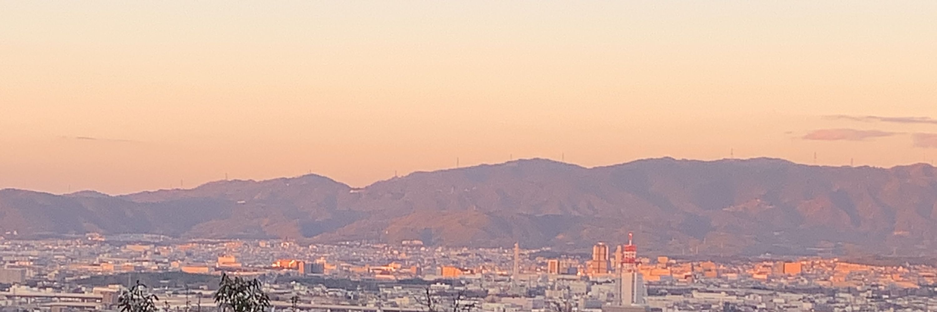 代表の日記