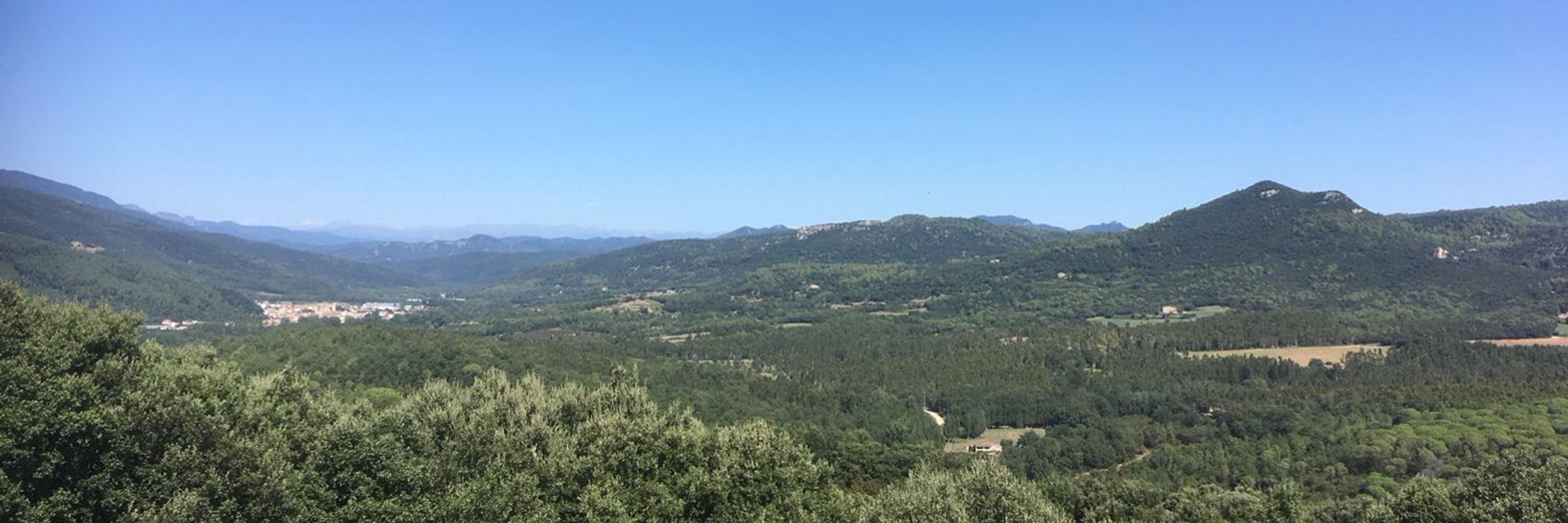 Sebastià Puig
