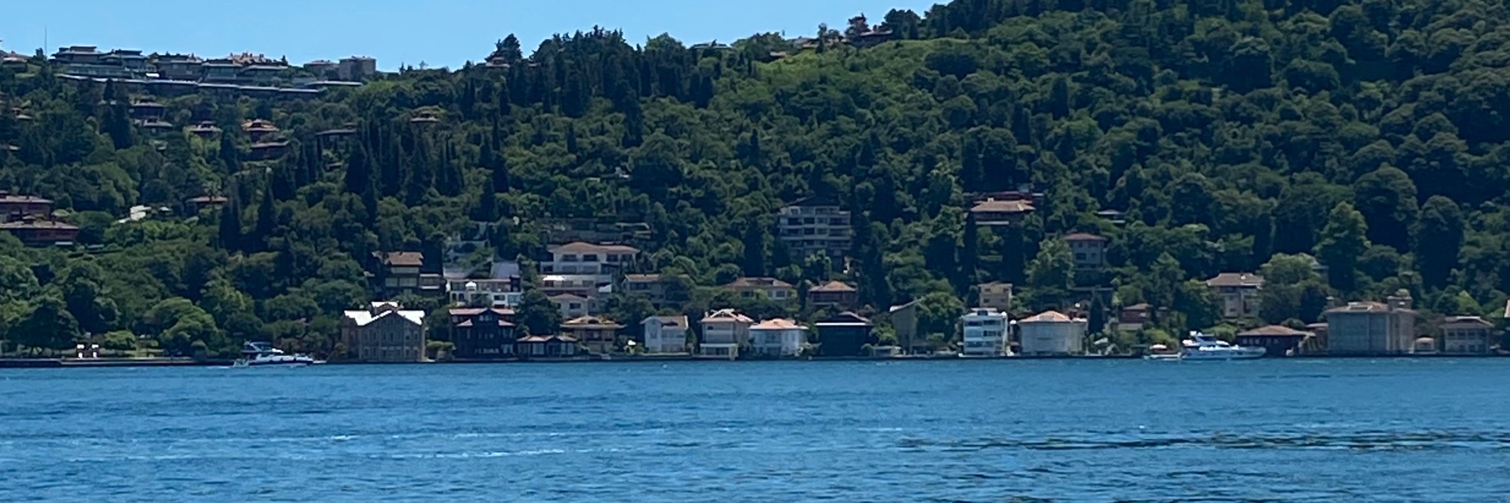 Feyza