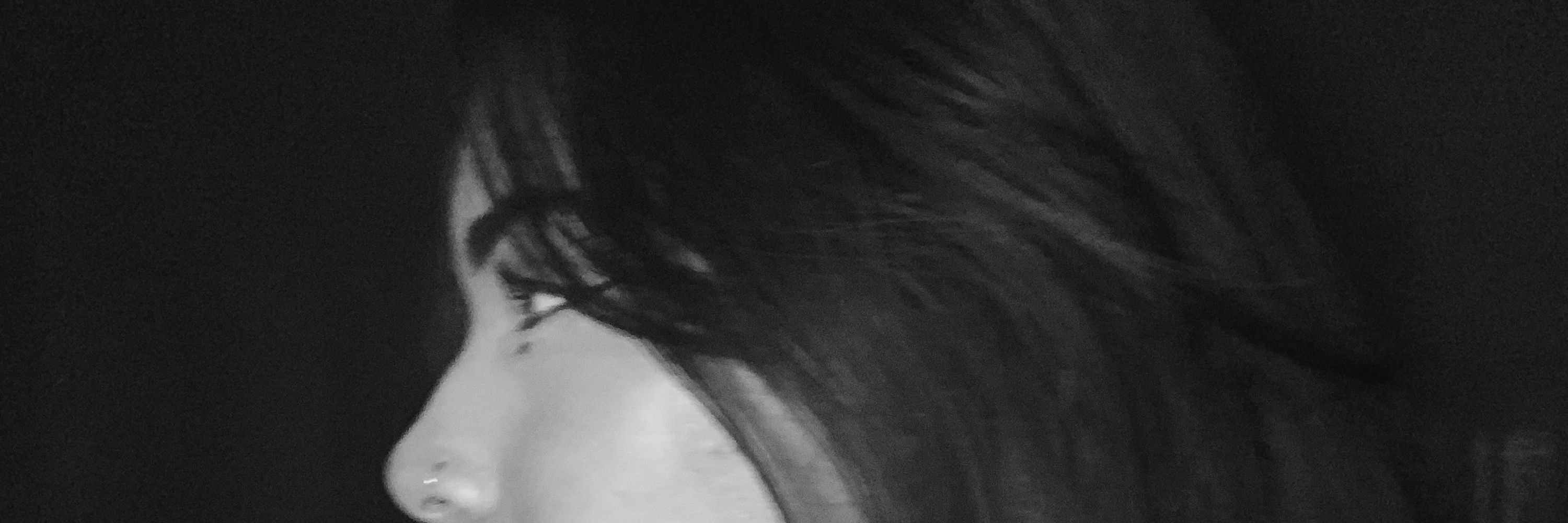 lud.
