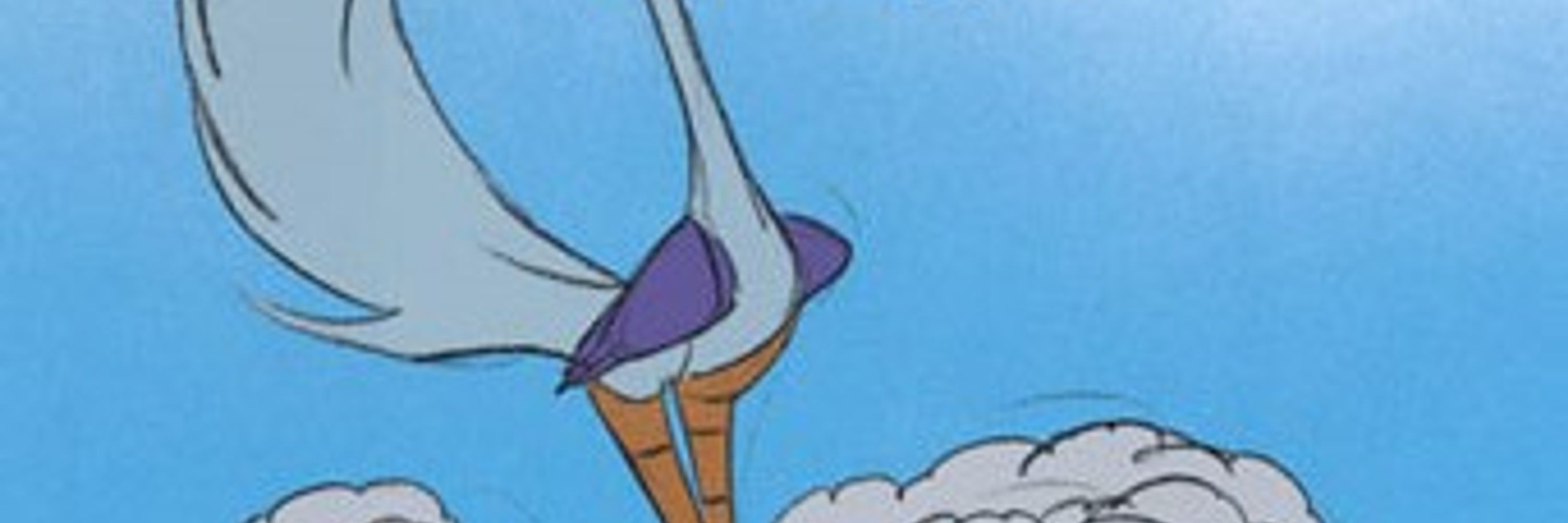 ROADRUNNERJ21