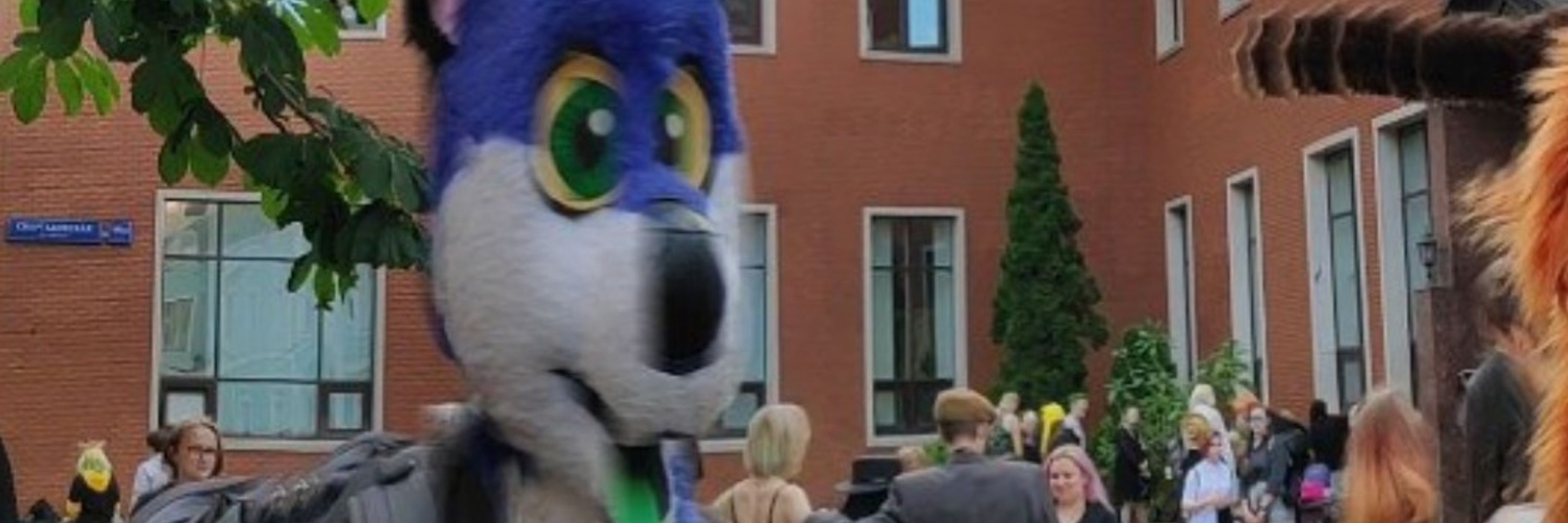 Marvin Fox